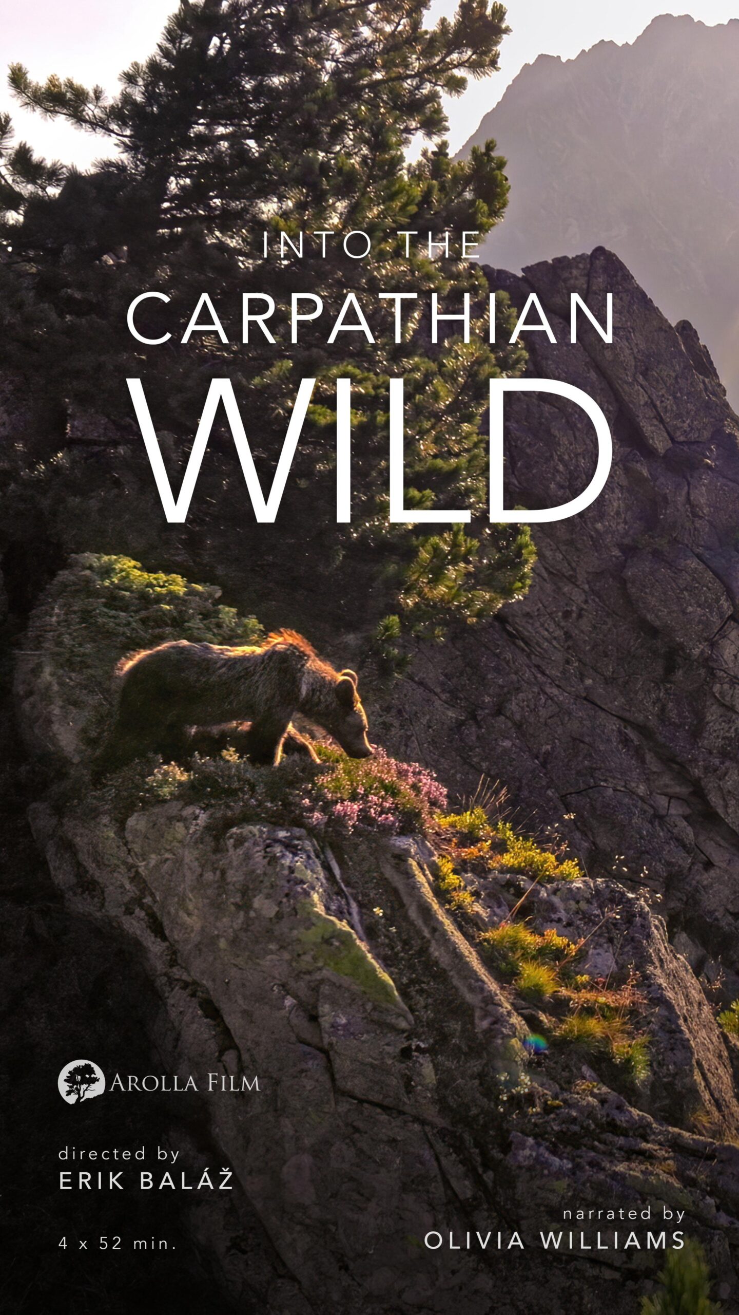Into the Carpathian Wild
