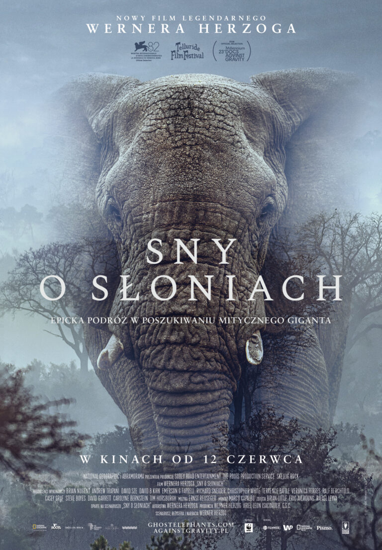 Sny o słoniach