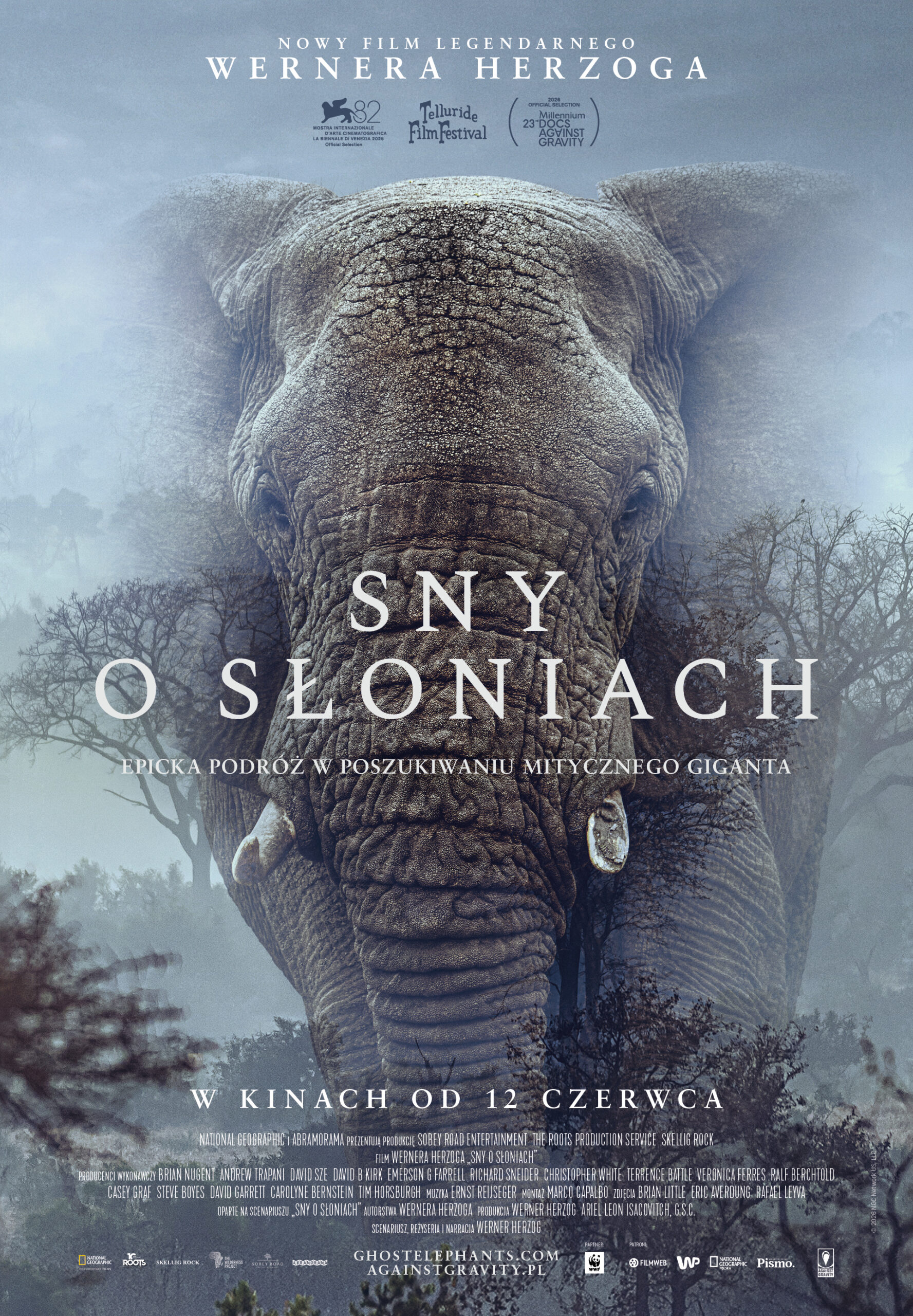 Niedziela z Dokumentem: Sny o słoniach